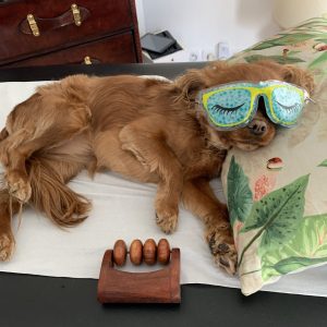 RE-Chiens-Charlie - copie
